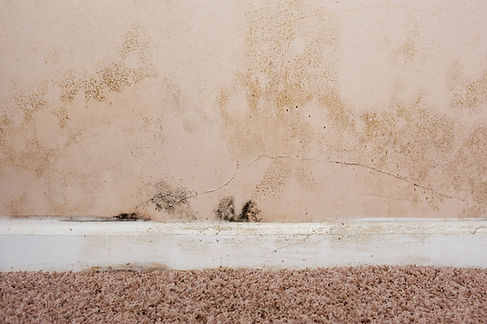 Peeling wallpaper and brown water staining caused by damp on a domestic interior wall