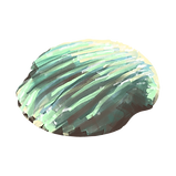 Seashell    
