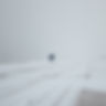 Snowy Day