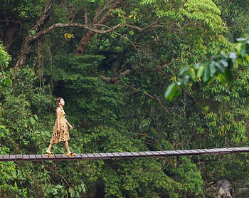 Aula 7 - Aprendizagem