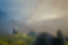 Paysage