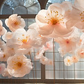 Flores de papel