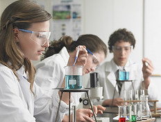 Working in Lab