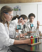 Working in Lab