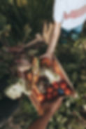 Organic Vegetables