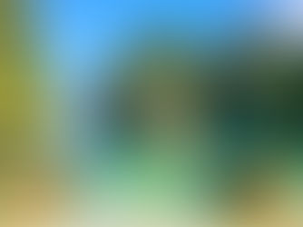 מגדל משלים לפנסיה - מוצר השנה בענף חיסכון ארוך טווח