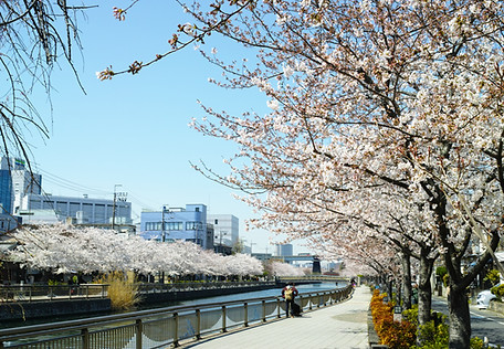 By the River