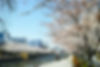 By the River