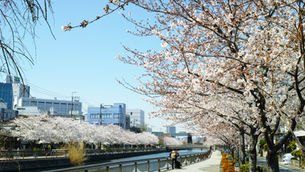 NEWS!:【広島観光コンベンションビューロー】 観光関連見本市等出展助成制度 申請受付中