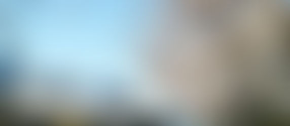 新年度に向けて