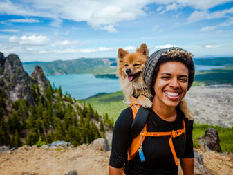 Should You Allow Dogs at Your Colorado Mountain Short Term Rental? The Financial Reality