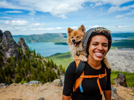Working Out With Your Dog! 9 Tips