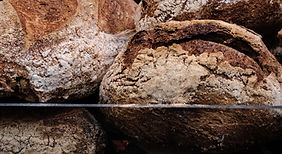 shopping loreto bcs mexico