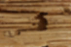 Close-up of a textured wood surface with a visible hole