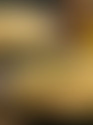 Wohlfühlküche von der Großmutter – Rezepte, die wärmen, trösten und mit einem Schlag in die Kindheit versetzen