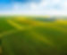 Sommerfarm