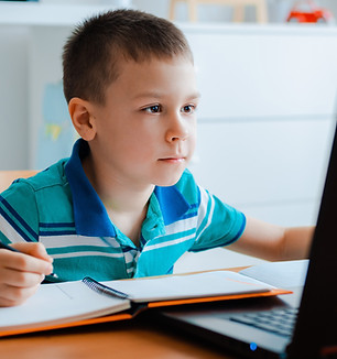 Online Learning