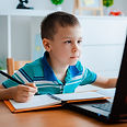Online Learning