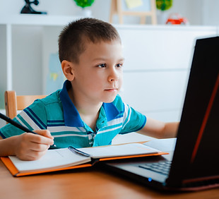 Online Learning