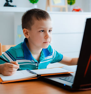 Online Learning