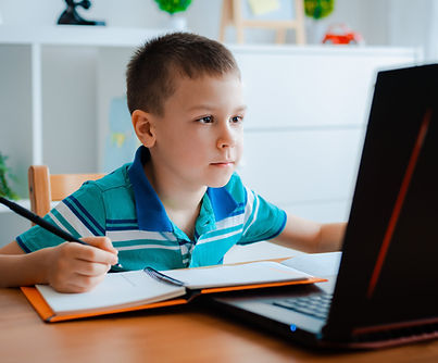 Online Learning