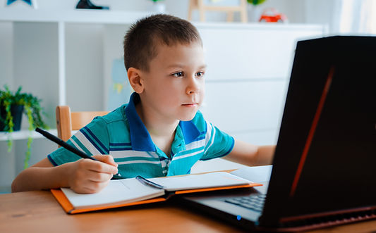 Online Learning