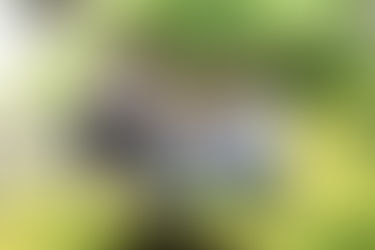 Gen Z's Financial Frontier: Mastering Money in a Post-COVID, Consumer-Driven Era