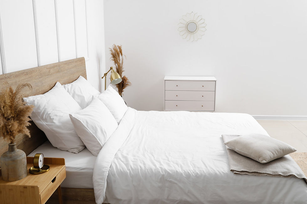 Minimalist Bedroom Design