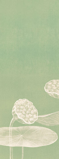 Minimalist Lotus Illustration