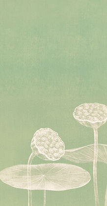 Minimalist Lotus Illustration