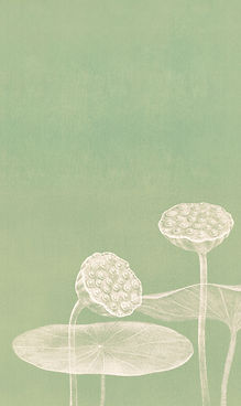 Minimalist Lotus Illustration