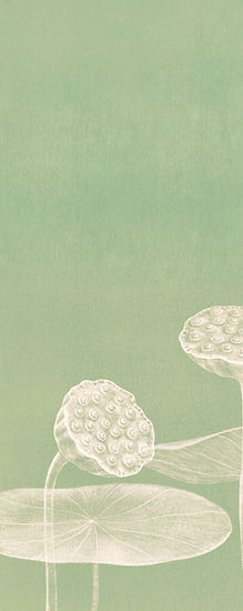 Minimalist Lotus Illustration