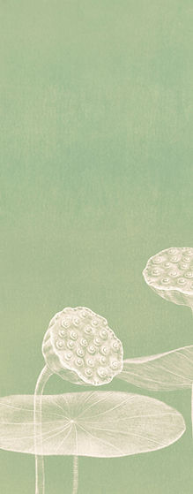 Minimalist Lotus Illustration