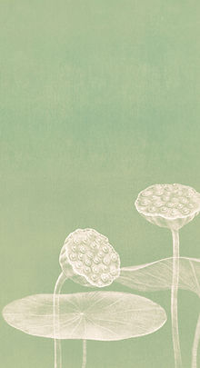 Minimalist Lotus Illustration