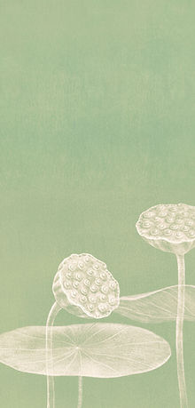 Minimalist Lotus Illustration