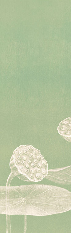 Minimalist Lotus Illustration