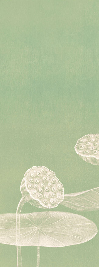 Minimalist Lotus Illustration