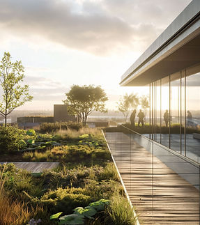 Rooftop Garden View