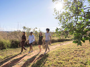 Together for Good: Supporting Mental Health at B-engineering