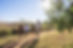 Group Walking Outdoors