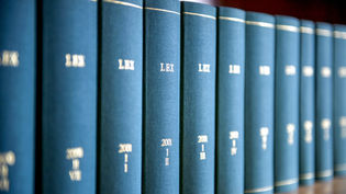 Translation vs. Legal Translation: The Difference Could End Up in Court