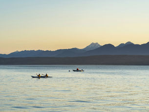 Cleaner waters, safer shellfish: Washington reports progress in harvest areas