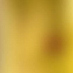 April 9, 2025 Repeal of Federal Regulation Defining “Showerhead” - Executive Order