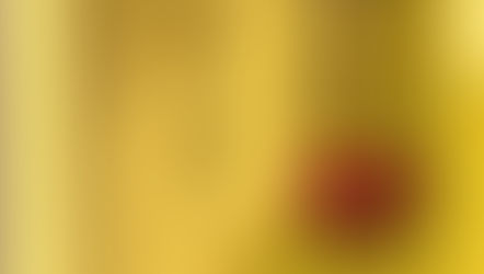 Mind-Boggling Shower Thoughts