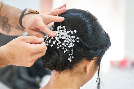 Fancy Hair Clip