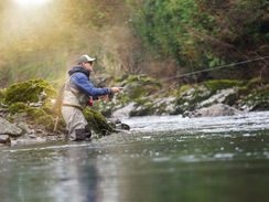 🆓 Find Your Ikigai: The Ultimate Guide to Hobbies in Japan
