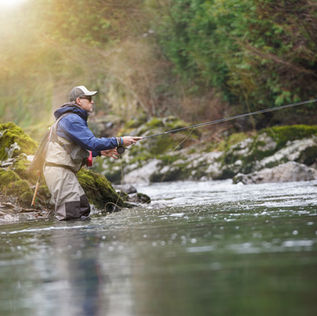 Polynucleotides in Derbyshire: from babbling brooks to regenerative skin