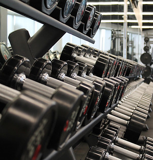Modern Gym