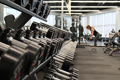 Gym Dumbbell Rack