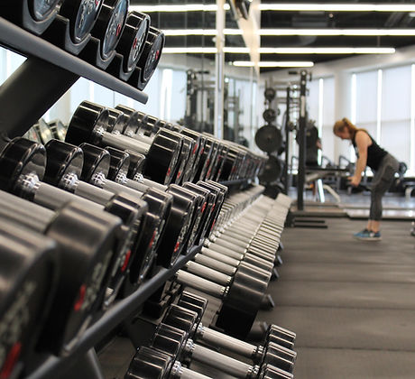 Modern Gym